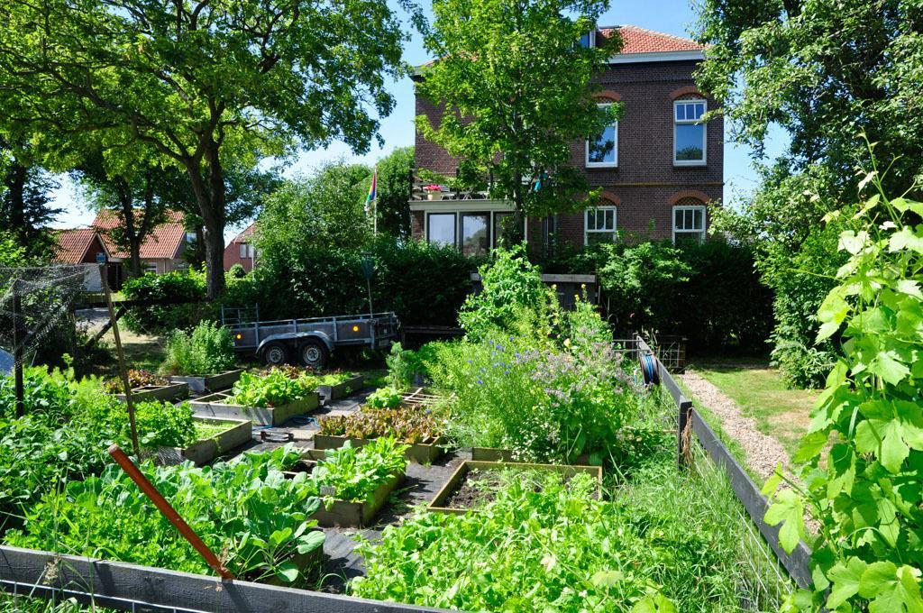 B&B De Postoari Terschelling Hoorn  Extérieur photo